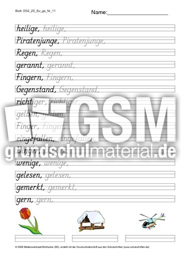DSS_2S_Bu_ge_Nr_11.pdf